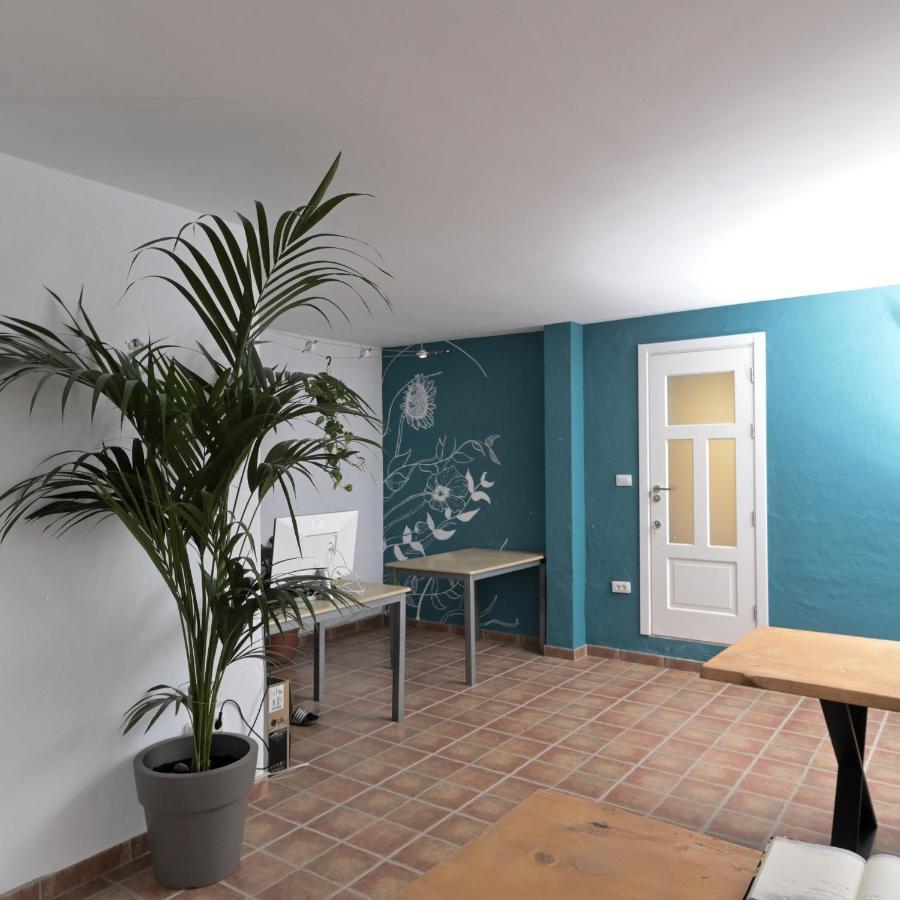 Auberge de jeunesse Los Amigos Yoga & Wellness *